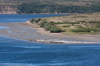 Pt. Reyes National Seashore June 2010